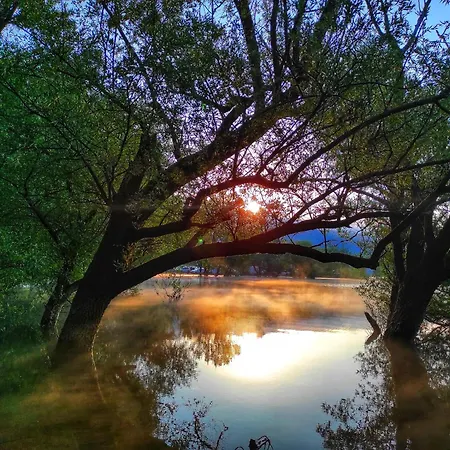 Kuca Za Odmor Elena 公寓