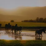 Kuca Za Odmor Elena Vrlika