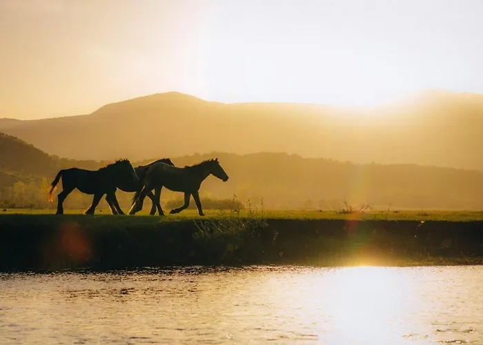 Appartamento Kuca Za Odmor Elena Vrlika